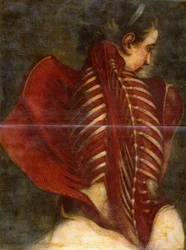 The Flayed Angel
