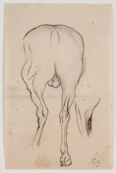 Horse Seen from Behind and a Horse Leg