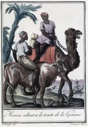 Moors going to the Treat of the Gum - in Encyclopedia of Voyages by Grasset St Sauveur, ed. 1796