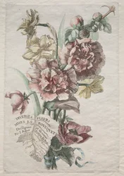 Divers fleurs mises en boucquets: No. 1 - Hollyhocks and Narcissus