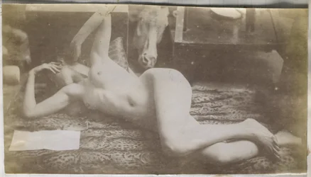 Study of a Female Nude Model, Lying on a Tiger Skin, in the Studio of Jacques de Lalaing