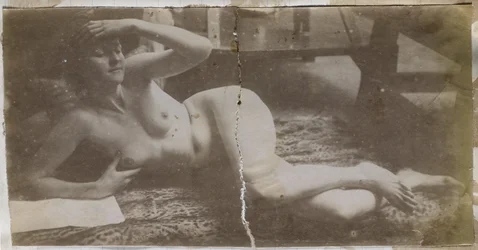 Study of a Female Nude Model, Lying on a Tiger Skin, in the Studio of Jacques de Lalaing