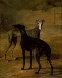Rolla and Portia