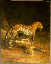 Two Leopards Lying in the Exeter Exchange
