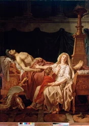 The Pain of Andromaque