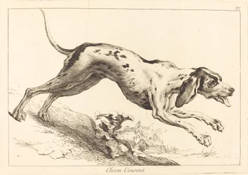 Running Hound