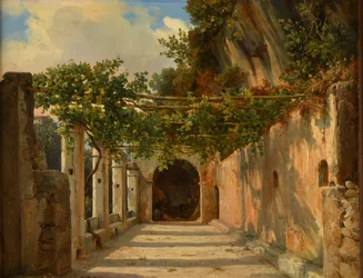 Arbor