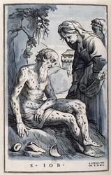Job Covered with Sores
