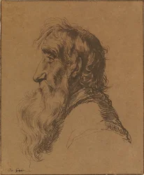Head of an Old Man
