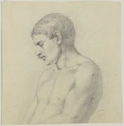 Male Half-Nude in Profile Facing Left