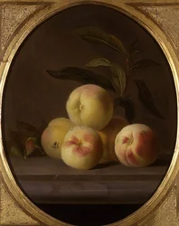 Still Life of Fruit with a Fly