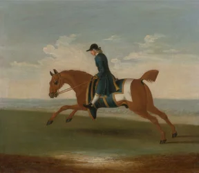 Chestnut Racehorse Exercised by a Trainer in a Blue Coat