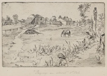 Landscape with the Horse (The Meadow)