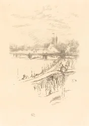 Savoy Pigeons