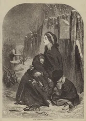 In the Bitter Cold