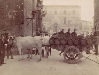 Cart with Oxen, Perugia, 1880s