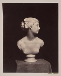 Gibson, Ideal Head