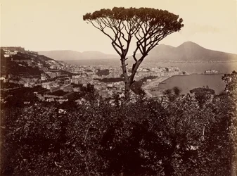 Naples Panorama