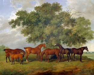 The Theobald Stud, 1825