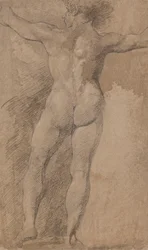 Male with Arms Spread Wide Seen from Behind