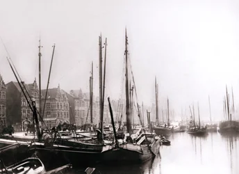Canal Boats, Rotterdam