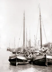 Canal Boats, Rotterdam