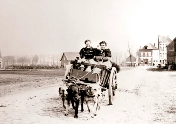 Dogs Pulling Women on a Cart, Antwerp, 1898