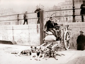 Man with dogcart, Antwerp