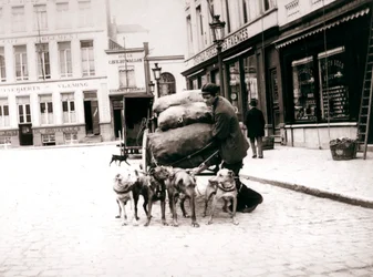 Man with dogcart, Antwerp