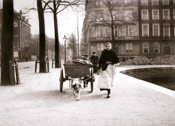 Woman with Dogcart, Rotterdam