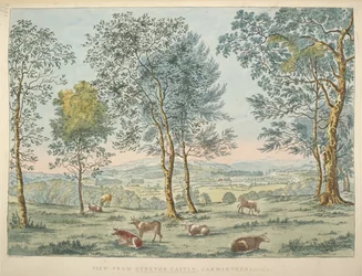 View from Dynevor Castle, Carmarthen
