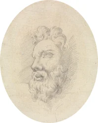 Head of a Bearded Man