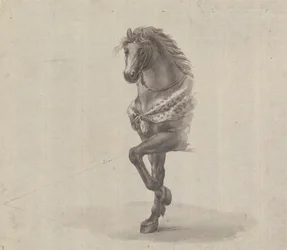 Study of the Front of a Horse