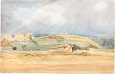 Landscape with Cattle
