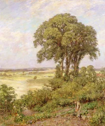 Landscape in Sussex