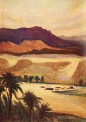 A Palestine Camp at Elim - Heb. xiii. 11