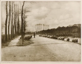 A Utrecht Pastoral