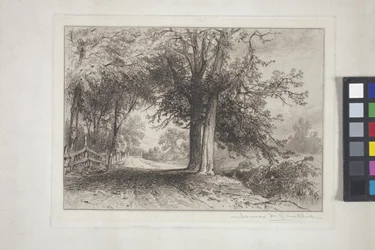 Landscape