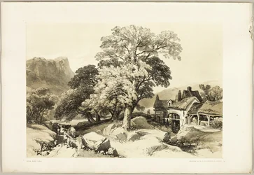 Ash and Oak, from The Park and the Forest