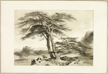 Cedars of Lebanon, from The Park and the Forest