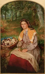 The Mushroom Picker
