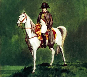Napoleon on his favourite charger, 