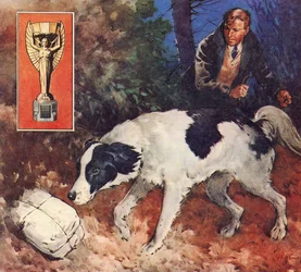 Pickles, The World Cup Dog