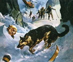 Rescue in the Snow