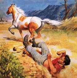 Runaway Horse