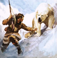 Vilhjalmar Stefansson Being Attacked by a Polar Bear