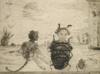 Peculiar Insects