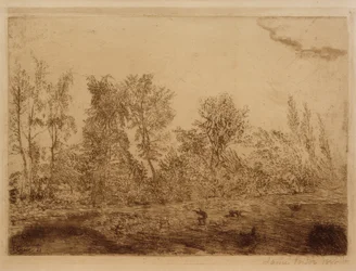 Gust of Wind at the Forest Edge