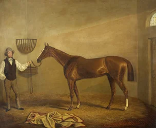 Bravissimo, Winner of the Monmouthshire Hunt Cup at Abergavenny