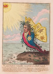 The Great South Sea Caterpillar, transformed into a Bath Butterfly, pub. 1792